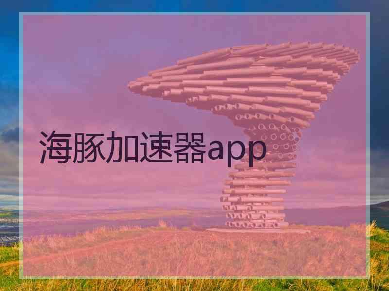 海豚加速器app