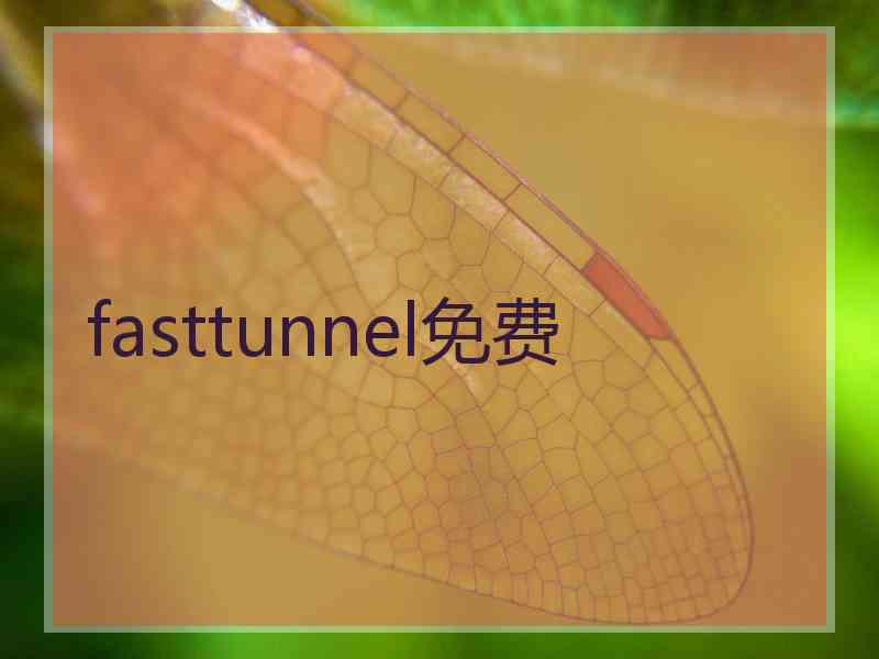 fasttunnel免费