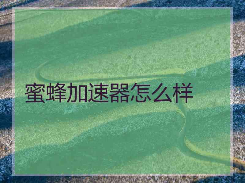 蜜蜂加速器怎么样