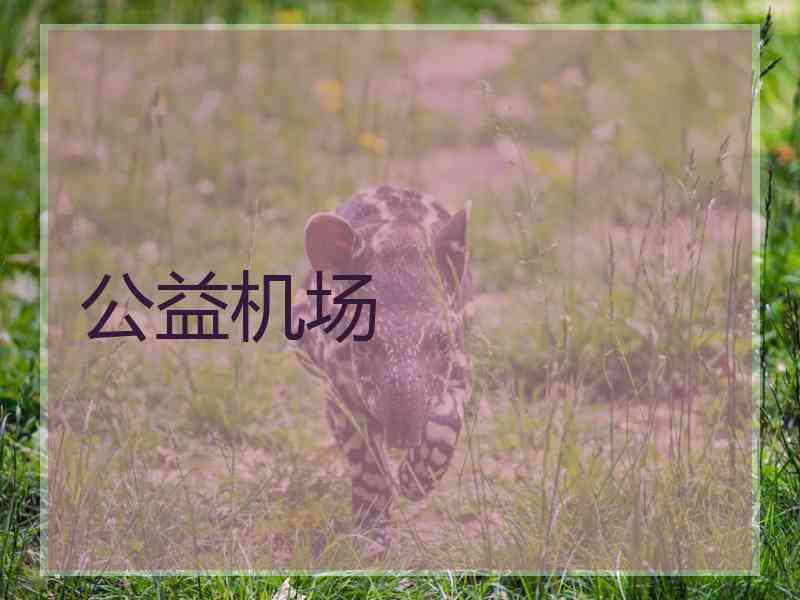 公益机场