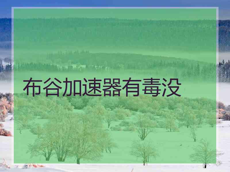 布谷加速器有毒没