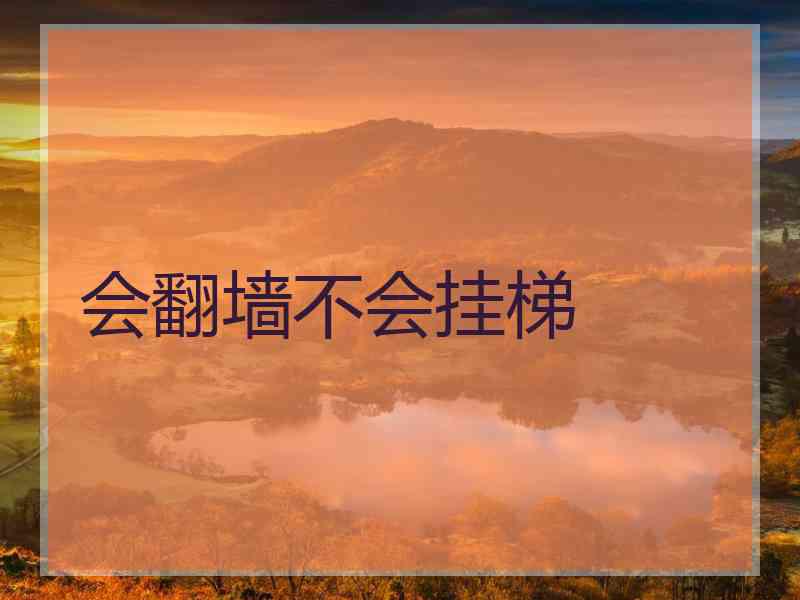 会翻墙不会挂梯