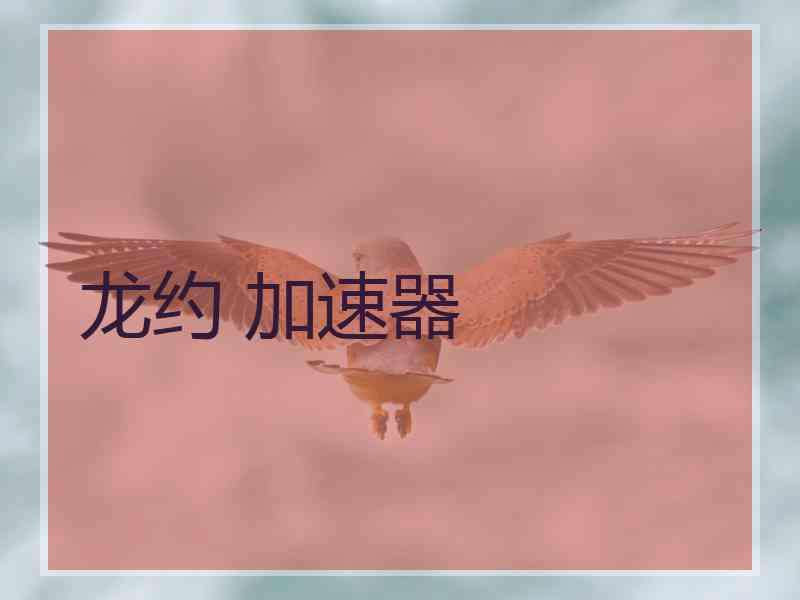 龙约 加速器