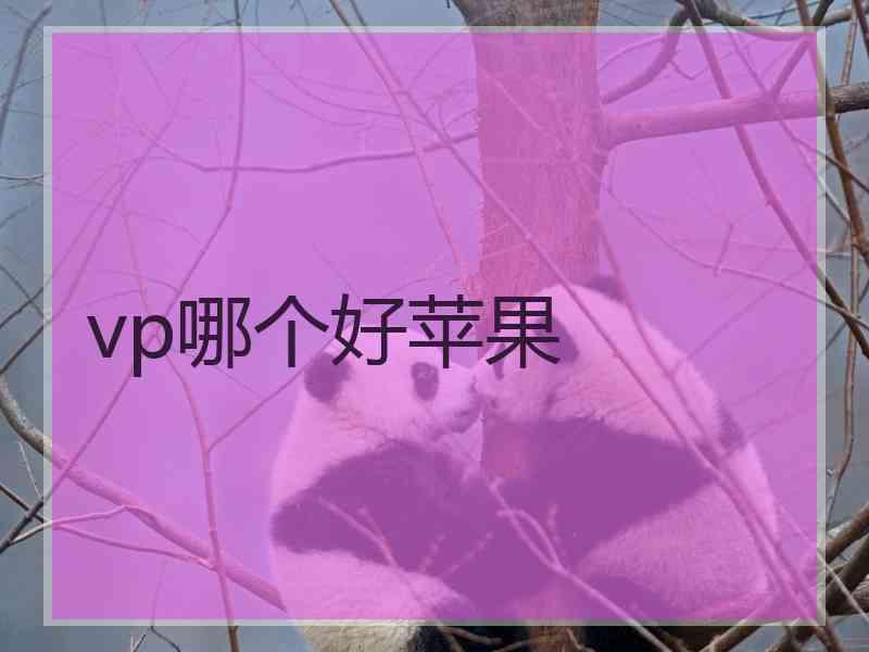 vp哪个好苹果