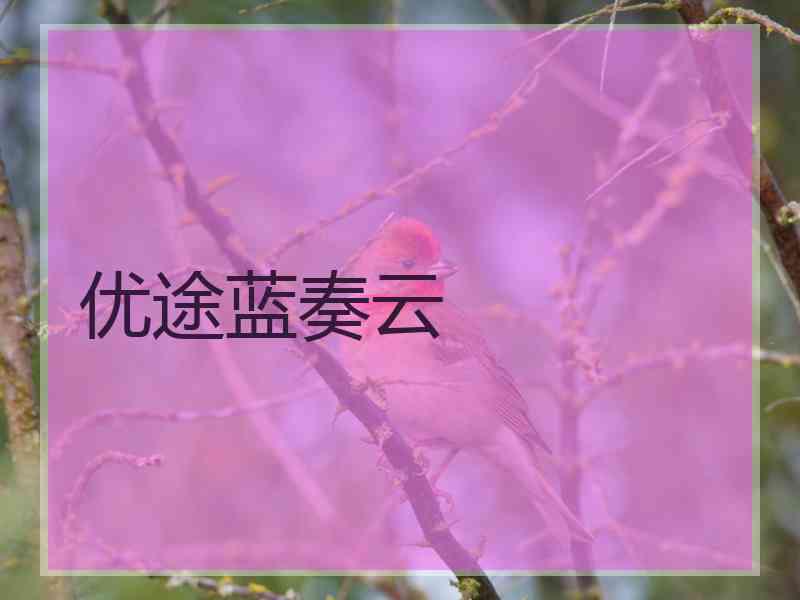 优途蓝奏云