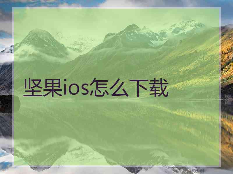 坚果ios怎么下载