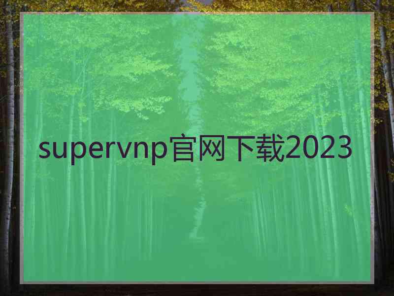 supervnp官网下载2023