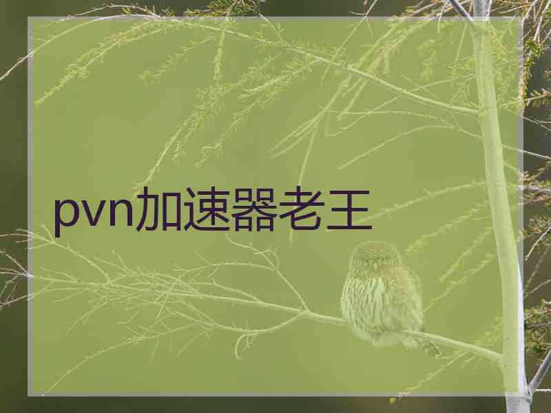 pvn加速器老王