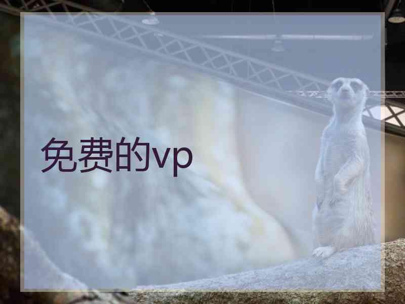 免费的vp