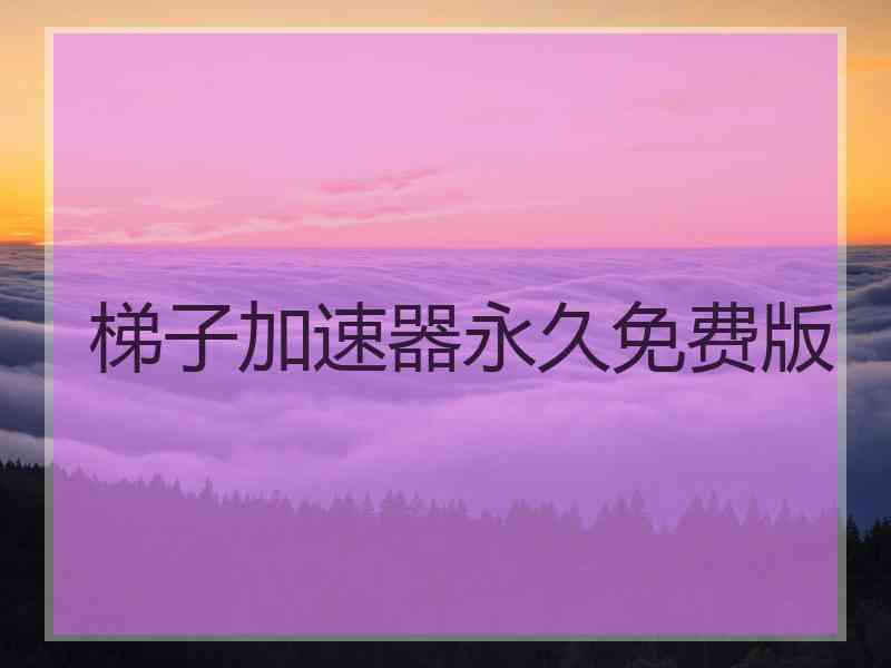 梯子加速器永久免费版