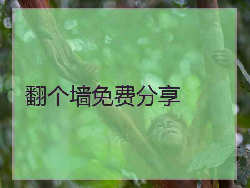 翻个墙免费分享