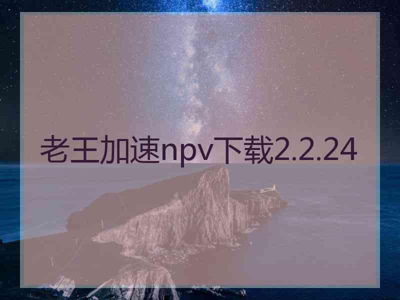 老王加速npv下载2.2.24