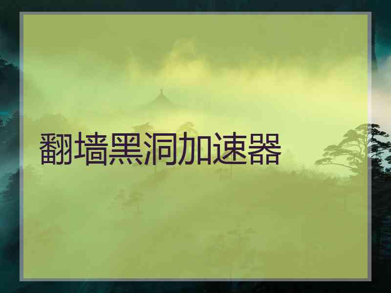 翻墙黑洞加速器