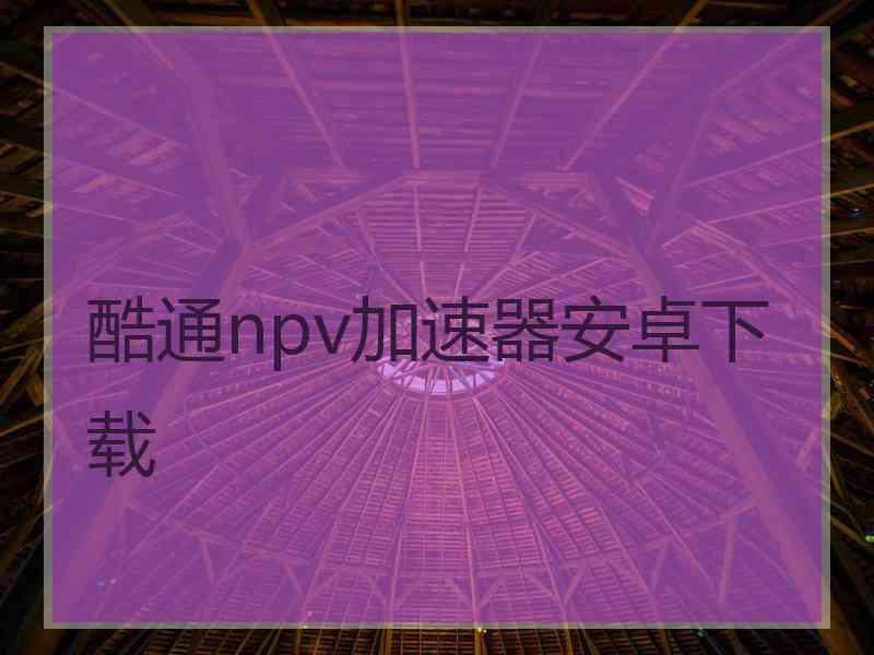 酷通npv加速器安卓下载