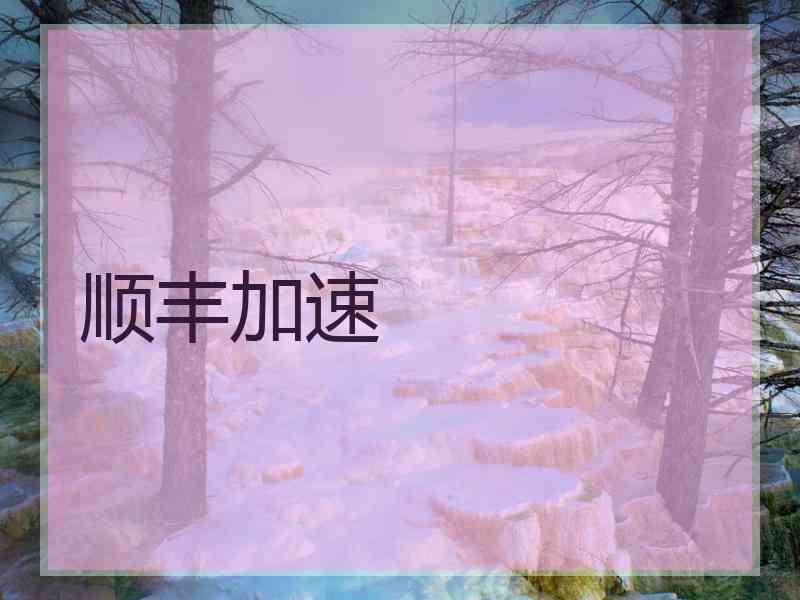 顺丰加速