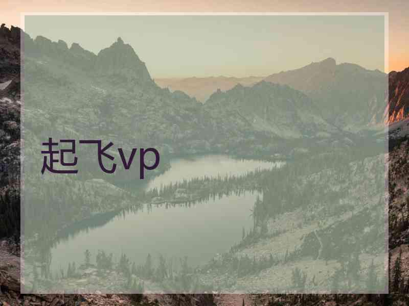 起飞vp