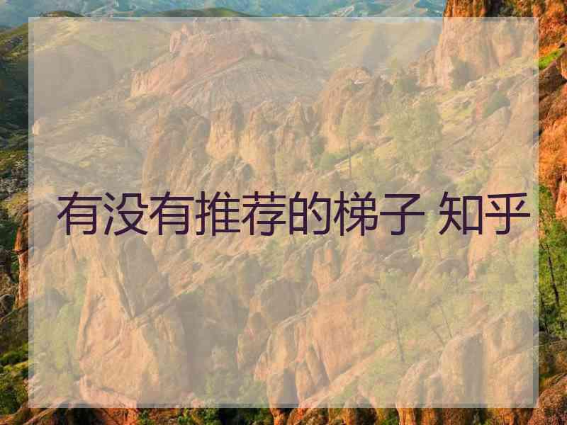 有没有推荐的梯子 知乎