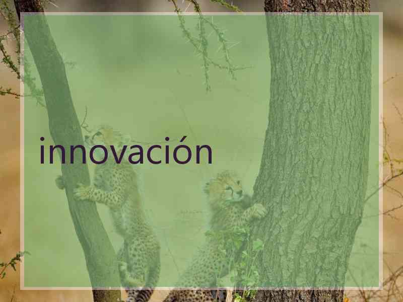 innovación