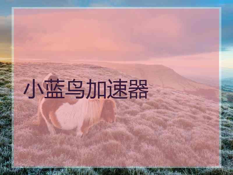 小蓝鸟加速器