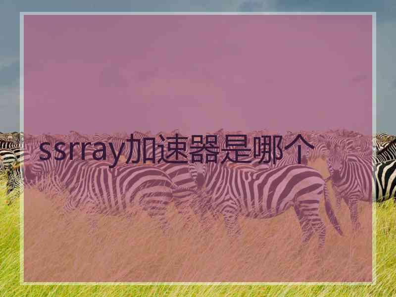 ssrray加速器是哪个