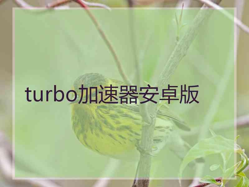 turbo加速器安卓版