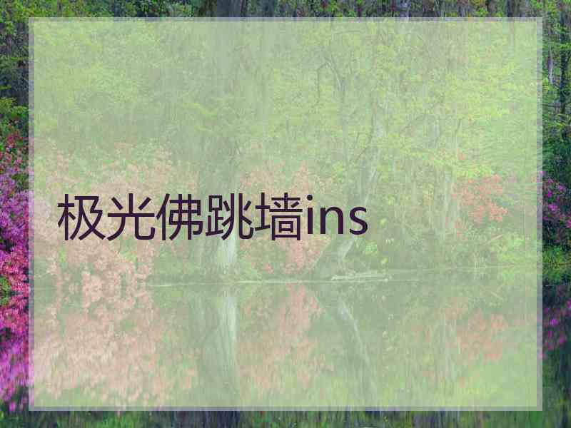 极光佛跳墙ins