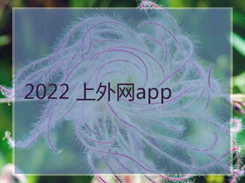2022 上外网app