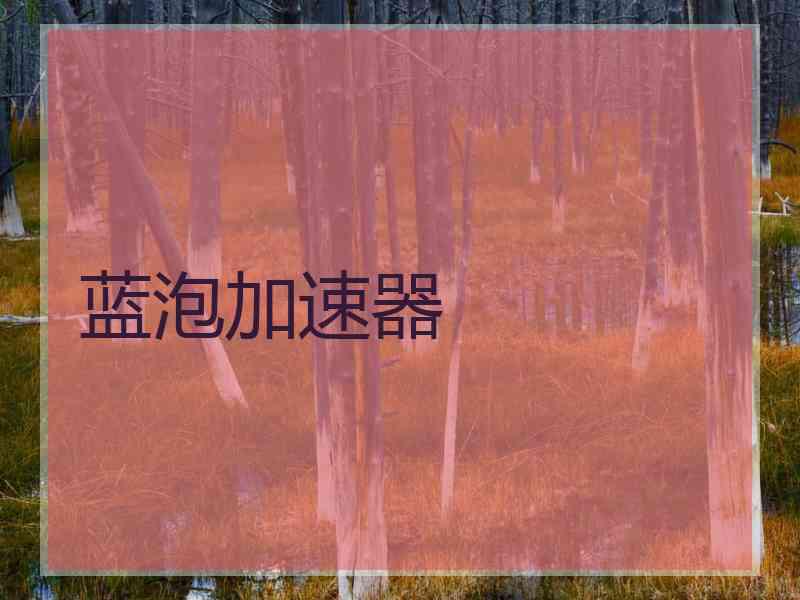 蓝泡加速器