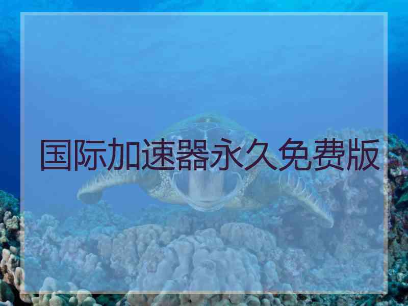 国际加速器永久免费版