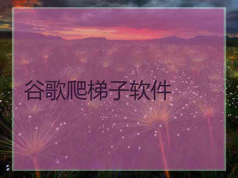 谷歌爬梯子软件