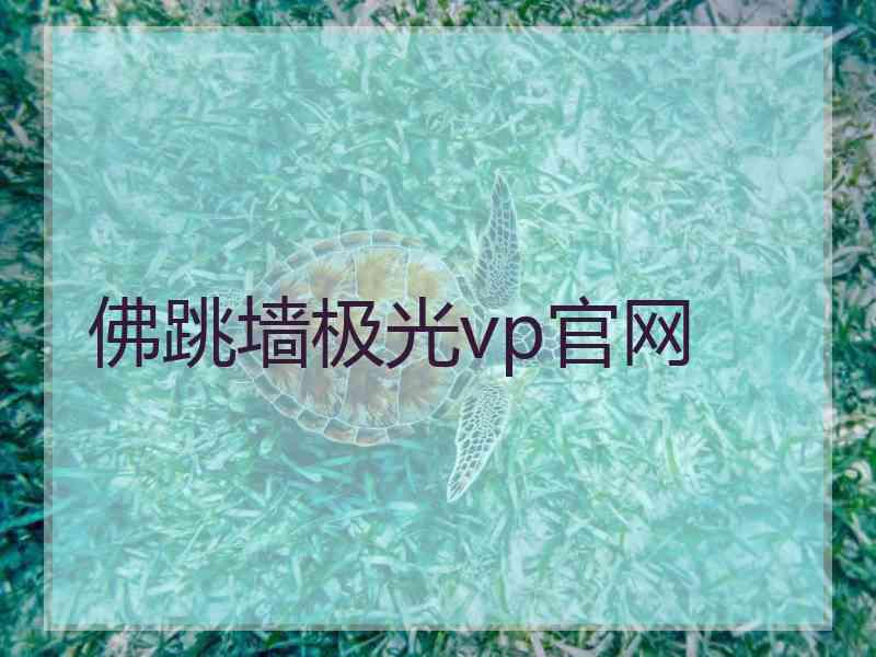 佛跳墙极光vp官网