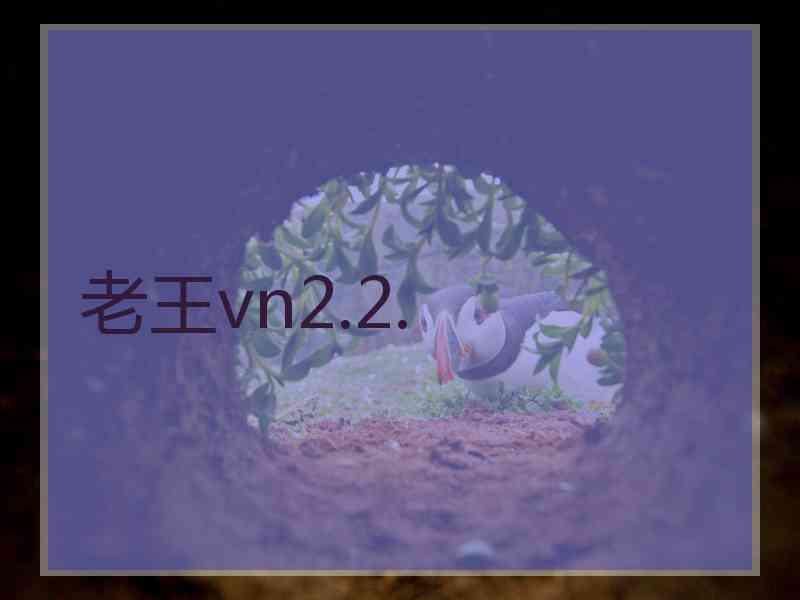 老王vn2.2.