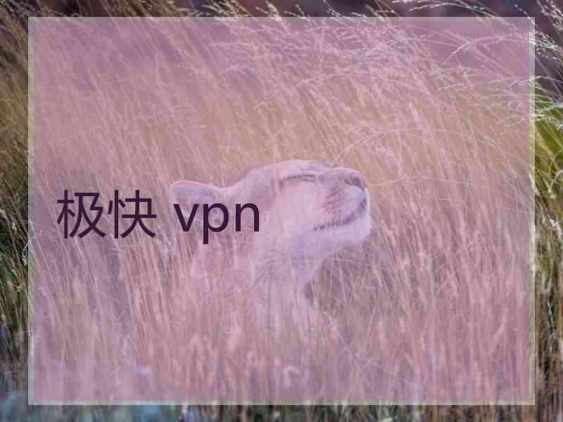 极快 vpn