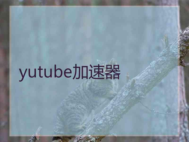 yutube加速器