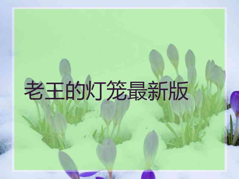 老王的灯笼最新版