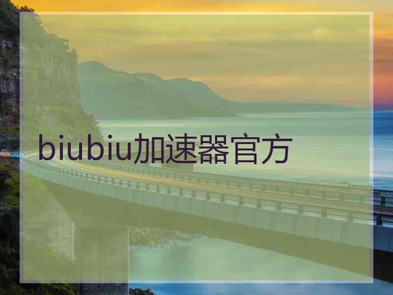 biubiu加速器官方