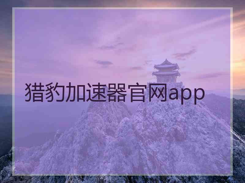 猎豹加速器官网app