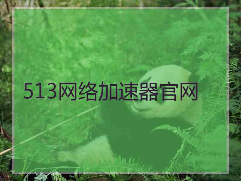 513网络加速器官网
