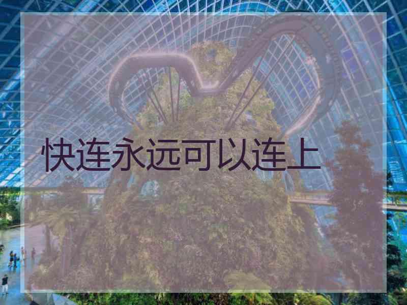 快连永远可以连上