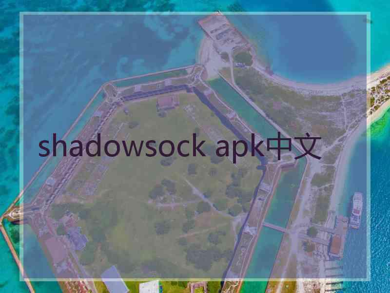 shadowsock apk中文