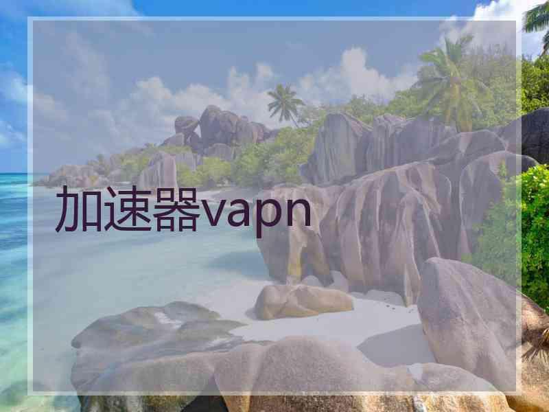 加速器vapn