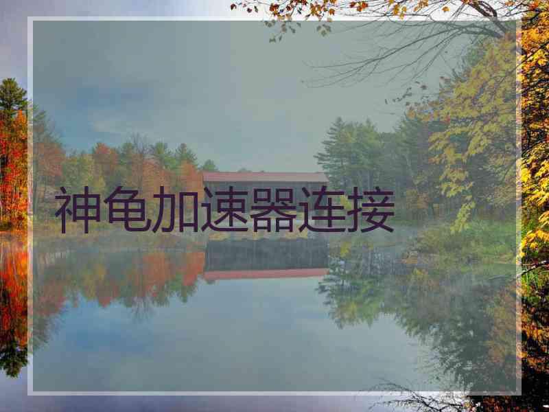 神龟加速器连接