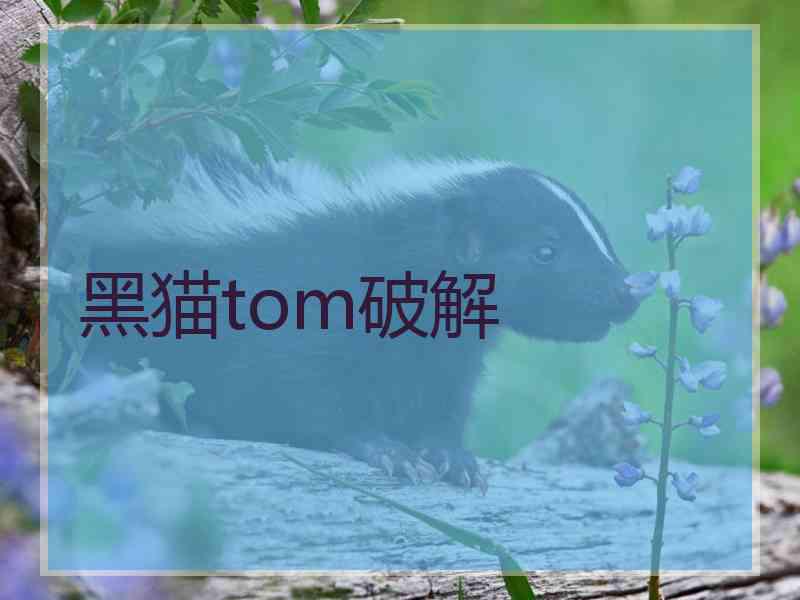 黑猫tom破解