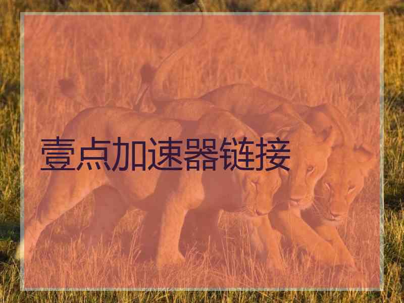 壹点加速器链接