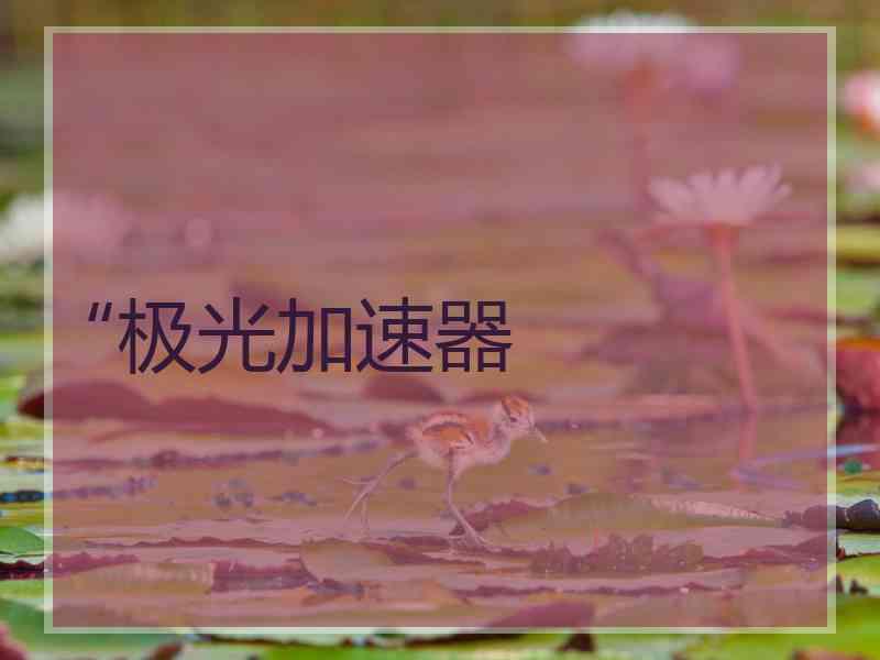“极光加速器