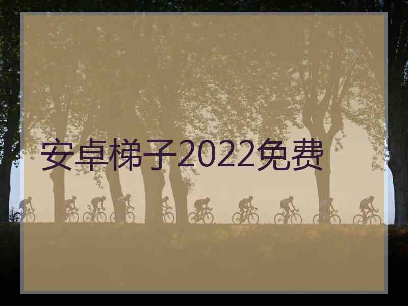 安卓梯子2022免费