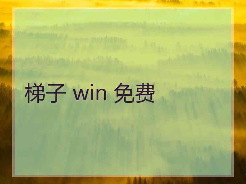 梯子 win 免费