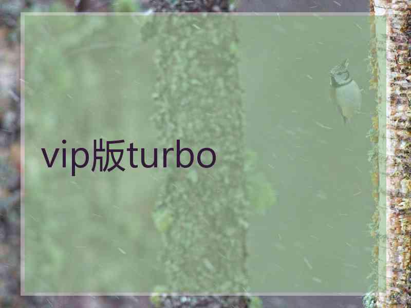 vip版turbo