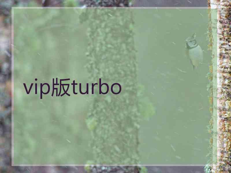 vip版turbo