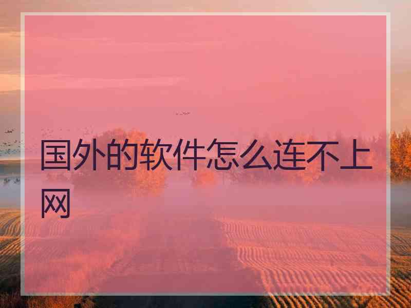 国外的软件怎么连不上网